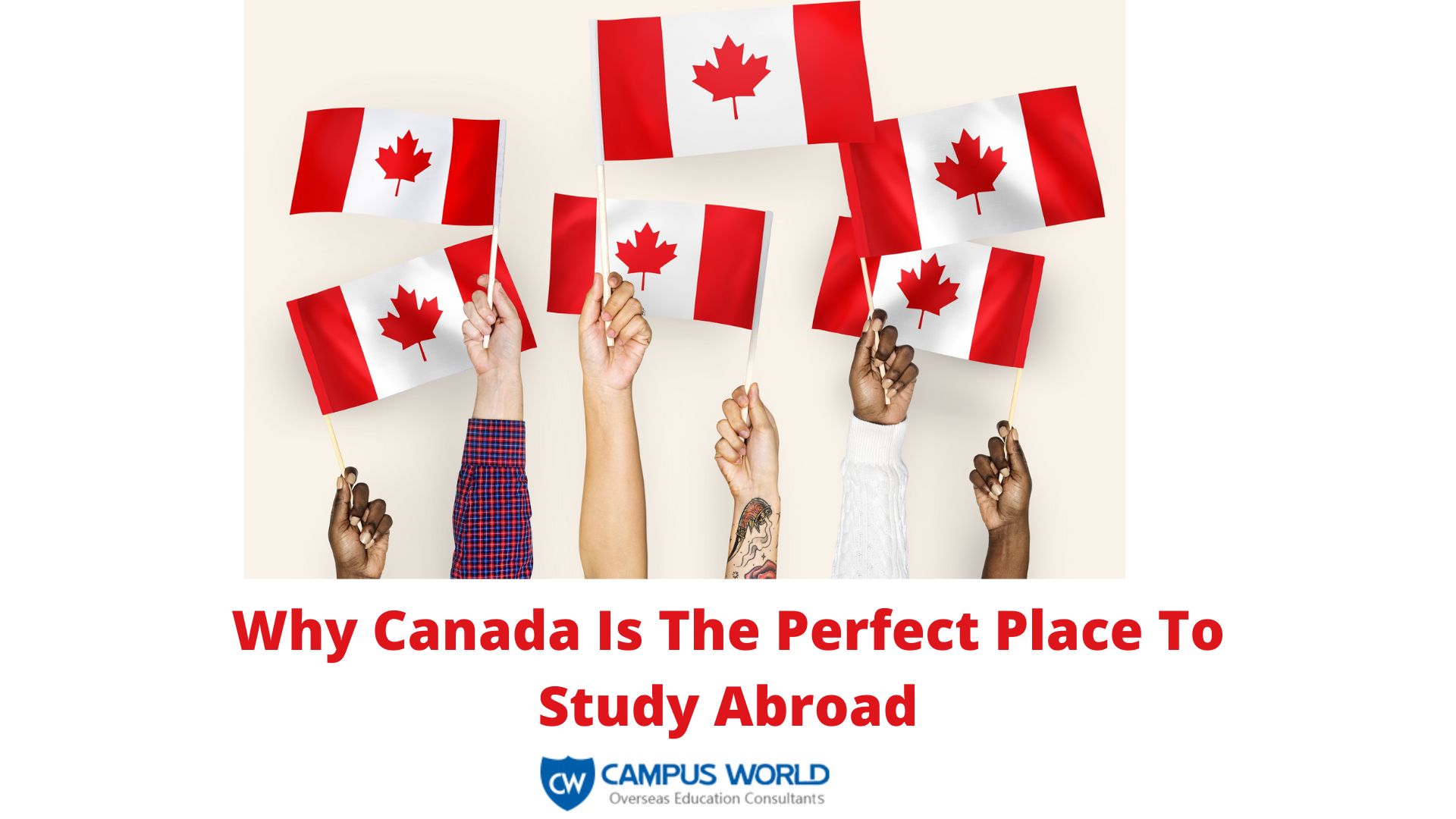 Why Canada Is The Perfect Place To Study Abroad